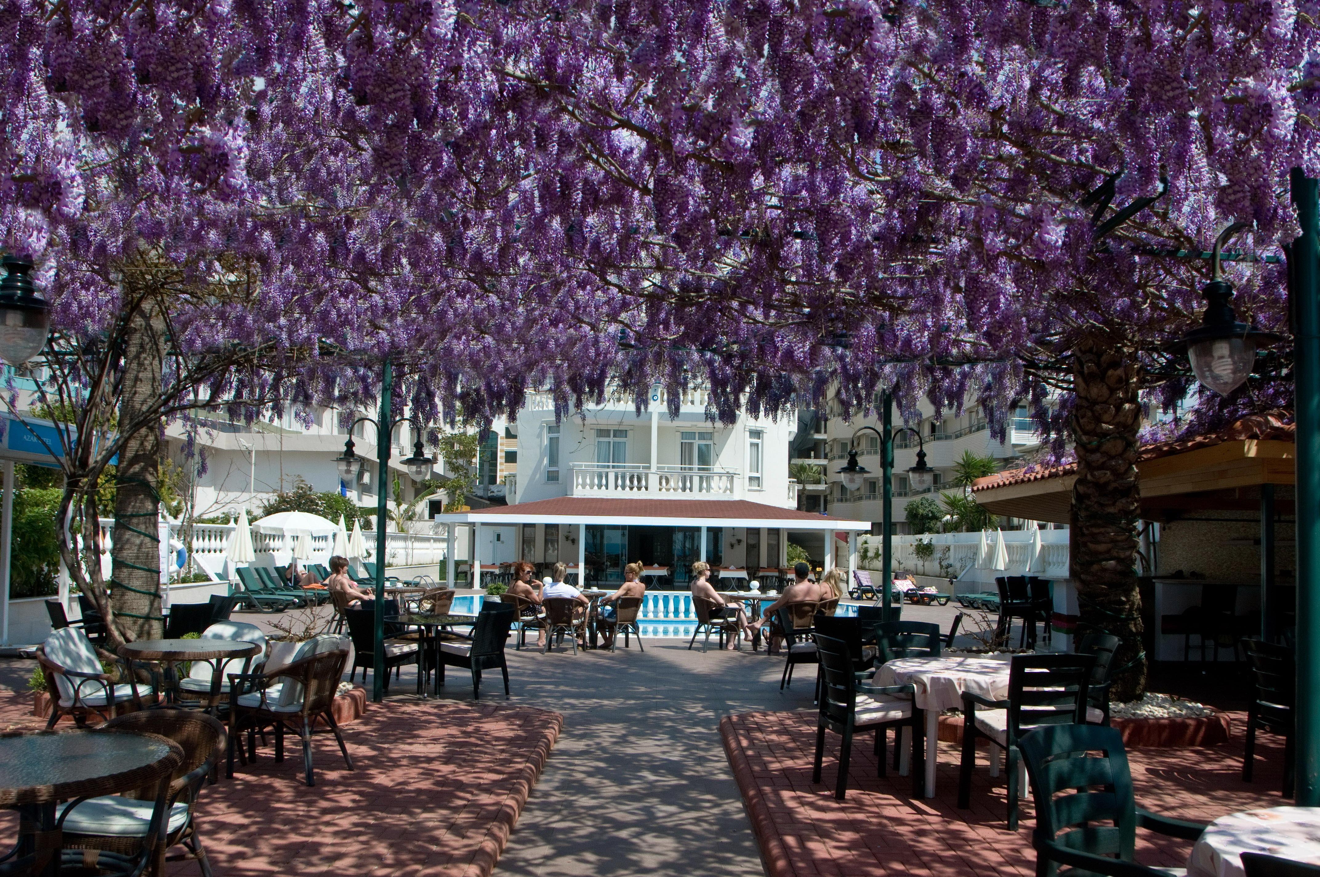 Azak Hotel Alanya Extérieur photo